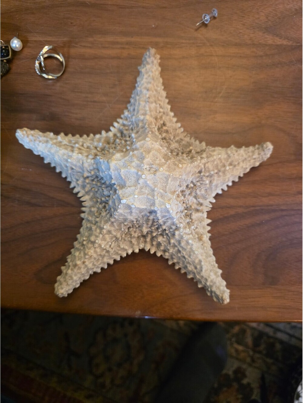 Vintage Large Ocean Beach Star Fish Fossil Decor Artifact Sea Shell 8"